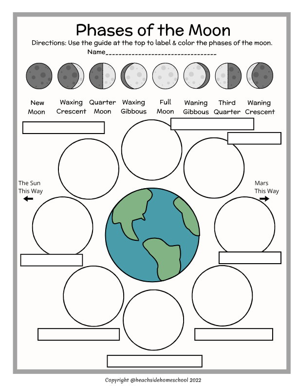 2nd/3rd/4th/5th Phases of The Moon Diagram - Labeling and Coloring or  Cookies